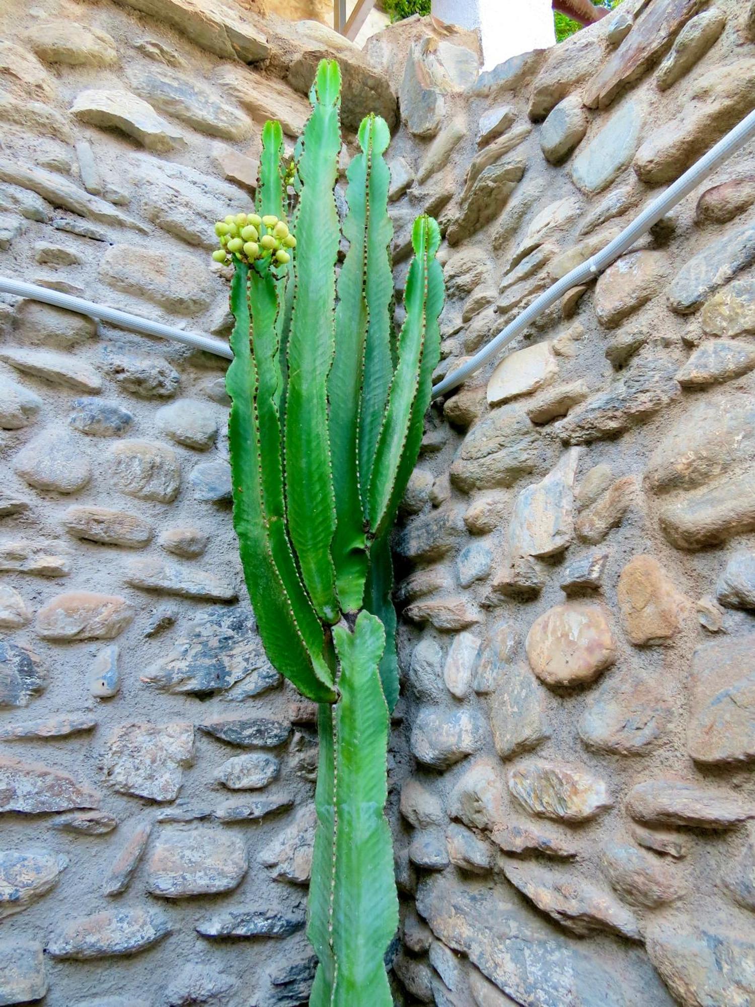 El Encanto Monachil Eksteriør billede